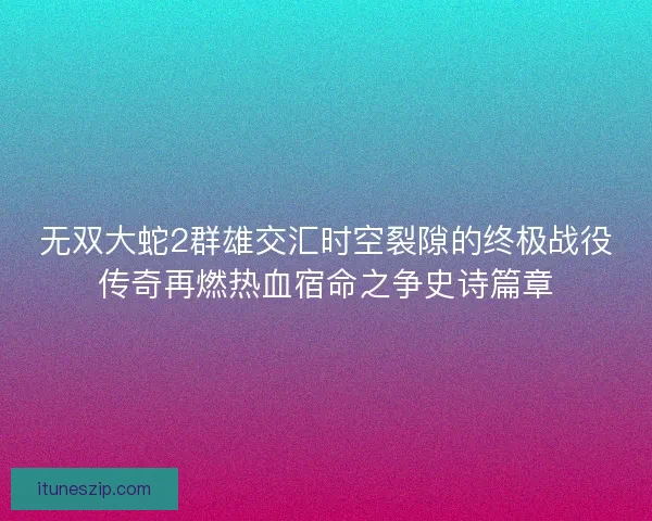 无双大蛇2群雄交汇时空裂隙的终极战役传奇再燃热血宿命之争史诗篇章