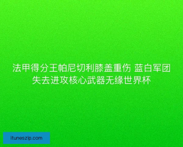 法甲得分王帕尼切利膝盖重伤 蓝白军团失去进攻核心武器无缘世界杯