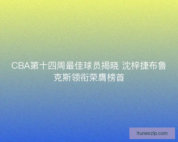 CBA第十四周最佳球员揭晓 沈梓捷布鲁克斯领衔荣膺榜首