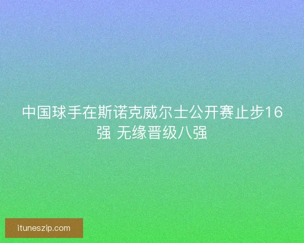中国球手在斯诺克威尔士公开赛止步16强 无缘晋级八强
